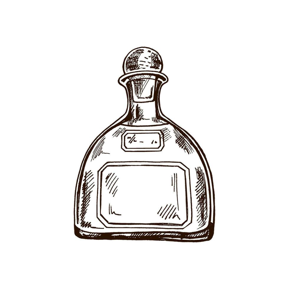 hand getekend fles van tequila. ontwerp element voor de menu van bars en restaurants, alcohol winkels. vector schetsen illustratie in gravure stijl. Mexicaans, Latijns Amerika.