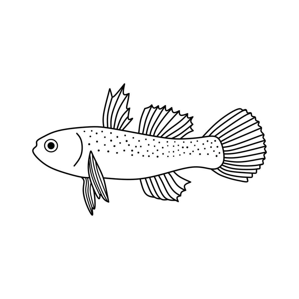 hand- getrokken tekenfilm vector illustratie zoetwater goby vis icoon geïsoleerd Aan wit achtergrond