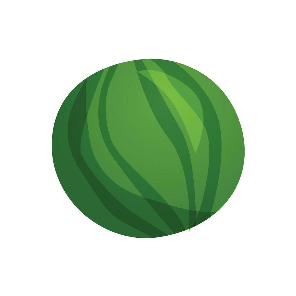 vector realistisch illustratie van watermeloen. toetje fruit concept