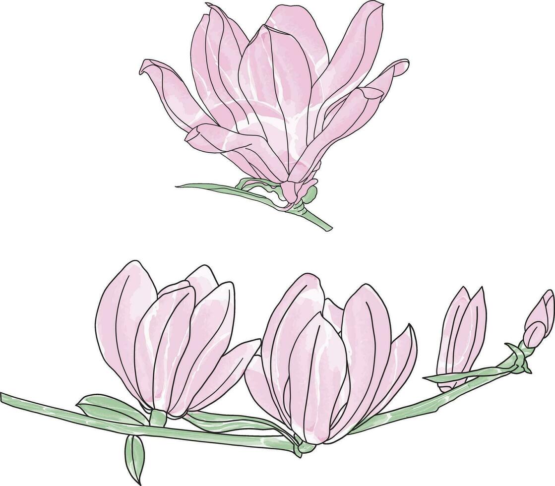 abstract lijn van verbaal schotel magnolia bloem zijn bloeiend. vector