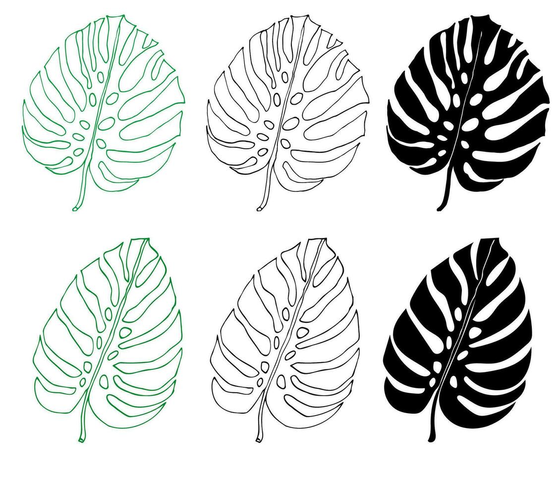 monstera lijn en silhouet reeks van tropisch bladeren, groen ontwerp element vector