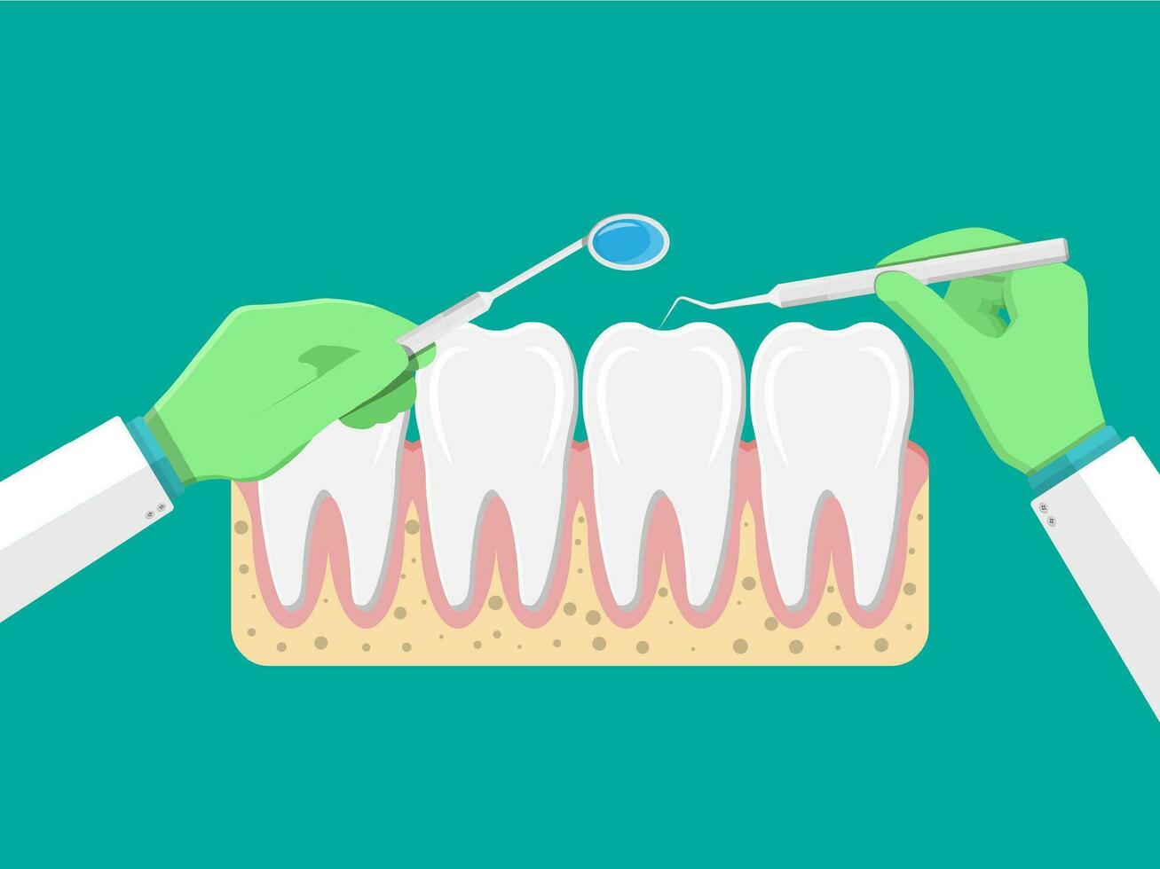 tandarts met gereedschap onderzoekt tanden. tanden icoon met gom. menselijk tanden in vlak stijl. tandheelkundig concept. hygiëne en mondverzorging. vector illustratie