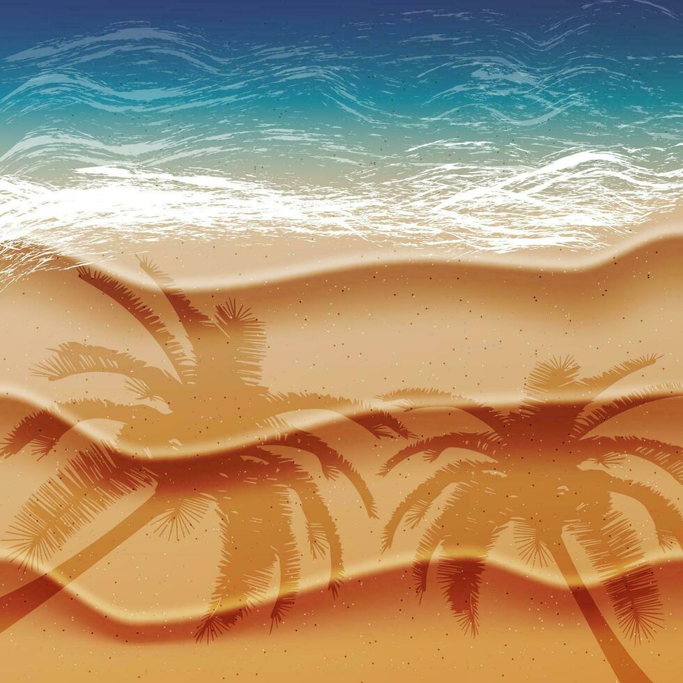 realistisch zomer achtergrond met oceaan zee strand en tropisch zee met palm schaduwen. vakantie feestdagen idee, vector illustratie