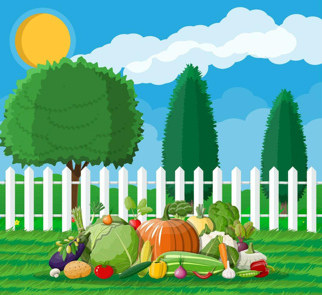 tuin oogst met groenten. houten schutting, bomen, zon wolken, gras. biologisch gezond voedsel. vers landbouw groenten. vegetarisch voeding. vector illustratie in vlak stijl
