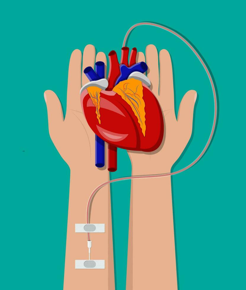 hand- van schenker met hart. bloed bijdrage dag concept. menselijk doneert bloed. vector illustratie in vlak stijl.