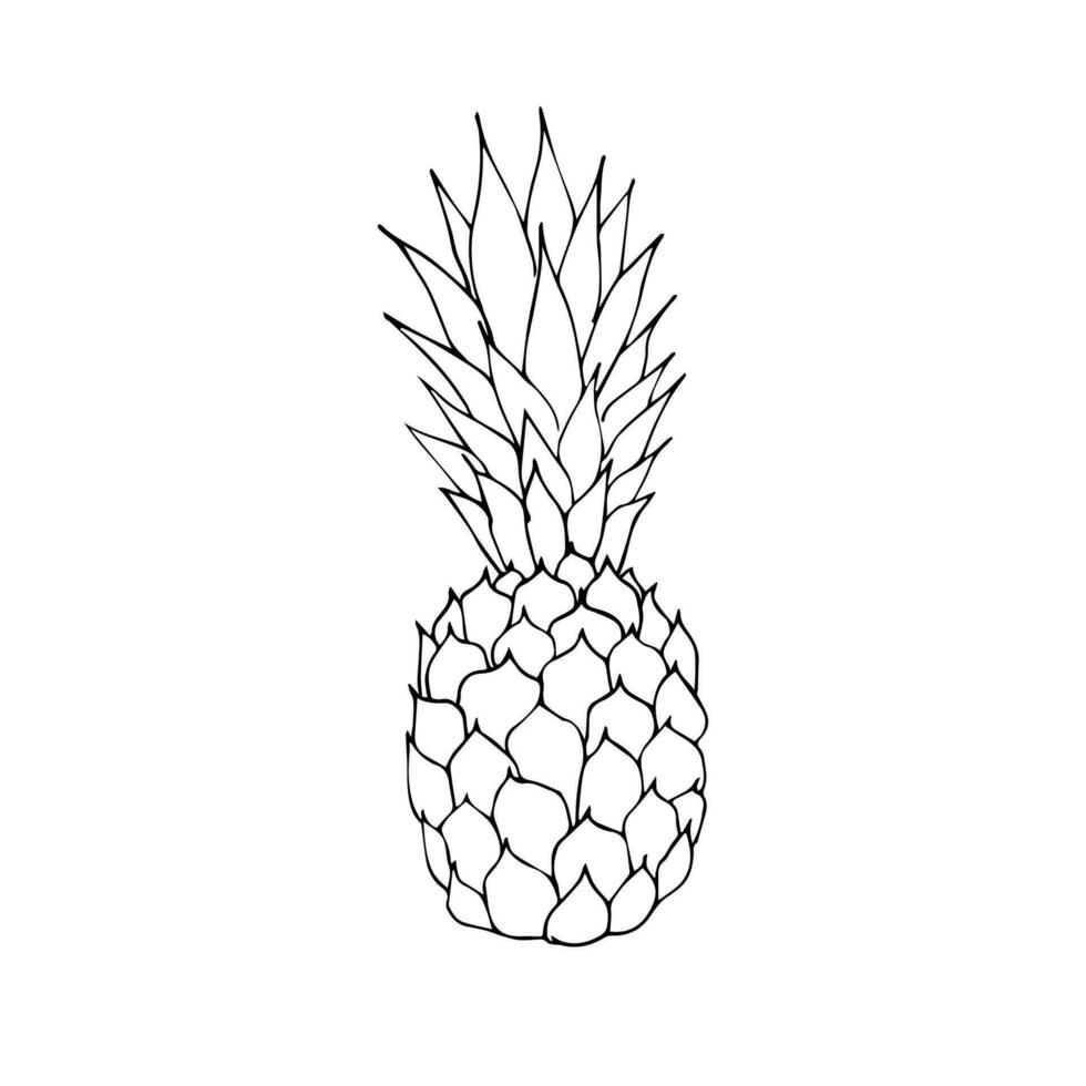 vector zwart schets schetsen ananas pijnboom appel