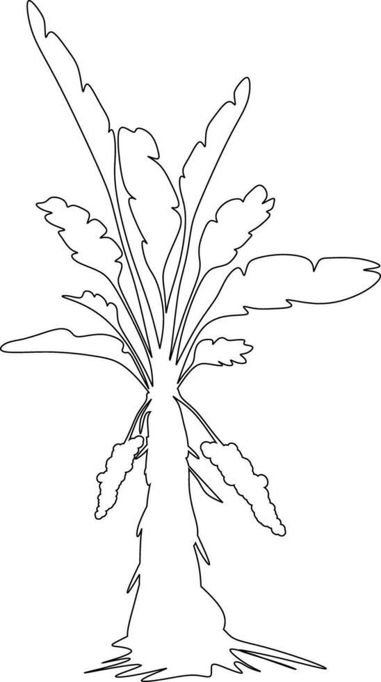 hand- getrokken schetsen van een banaan boom vector