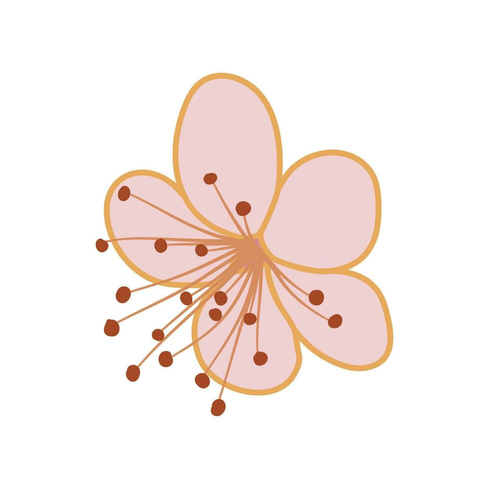 roze sakura kers bloesem vector illustratie