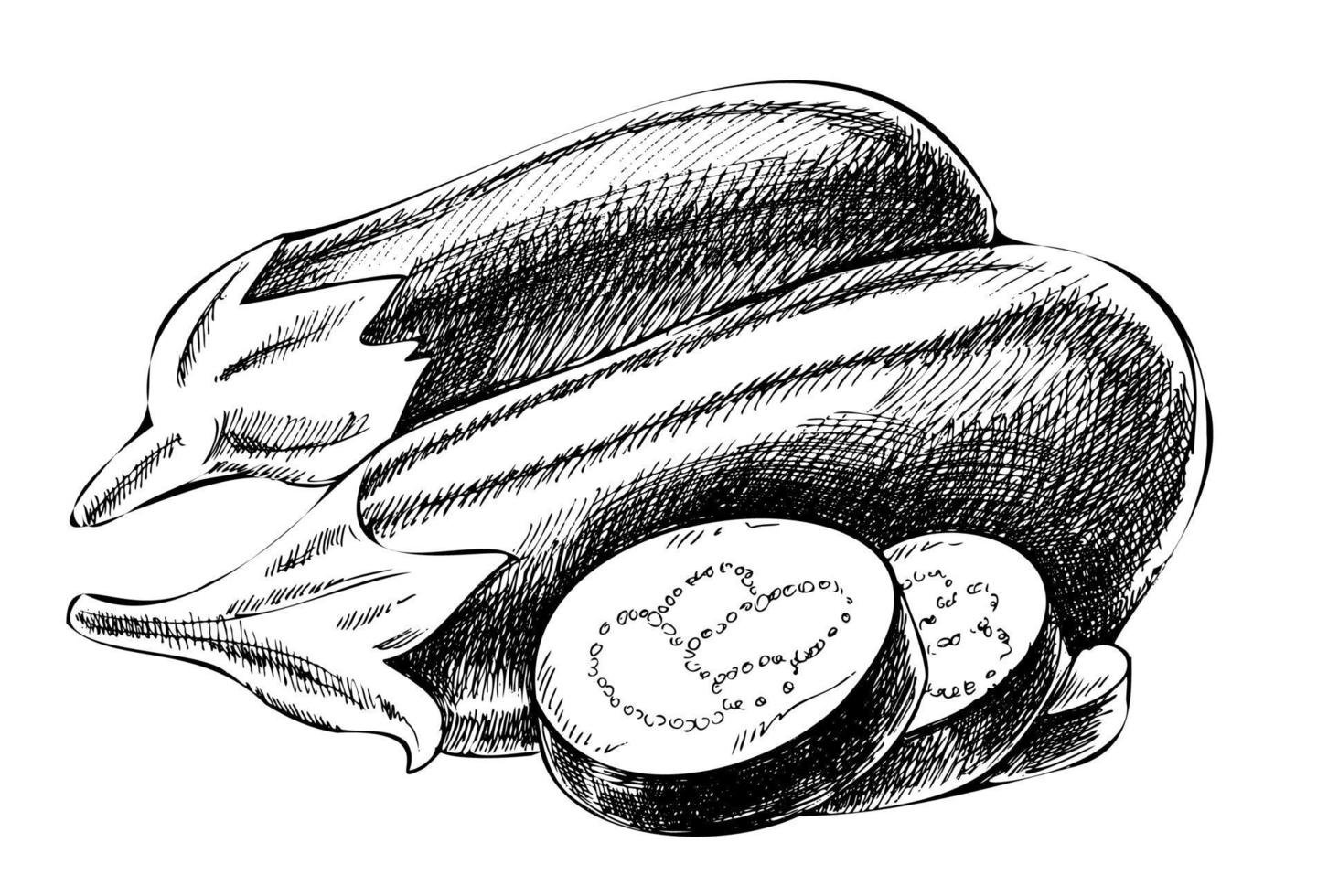 vector hand getekend plantaardige illustratie. gedetailleerde retro-stijl handgetekende aubergines schets. vintage schetselement voor het ontwerpen van etiketten, verpakkingen en kaarten.