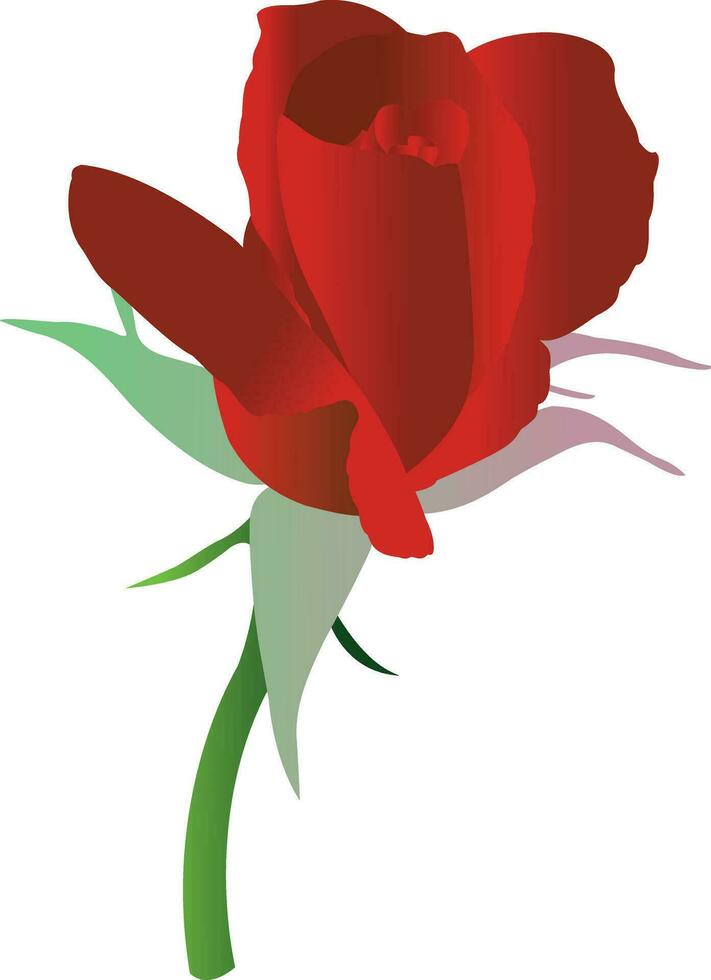 illustratie van roos vector ontwerp Aan een wit achtergrond