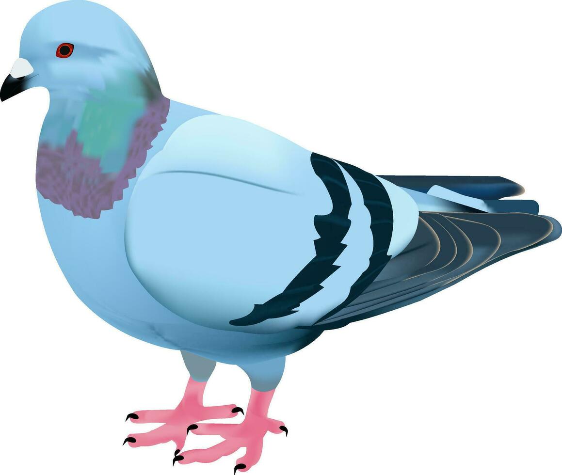 illustratie van duif vector ontwerp Aan een wit achtergrond
