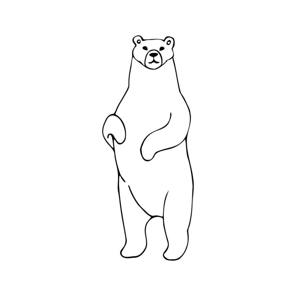 hand- getrokken vector illustratie in tekenfilm stijl. een polair beer staat Aan haar achter poten. zwart en wit lineair tekening Aan een wit achtergrond.