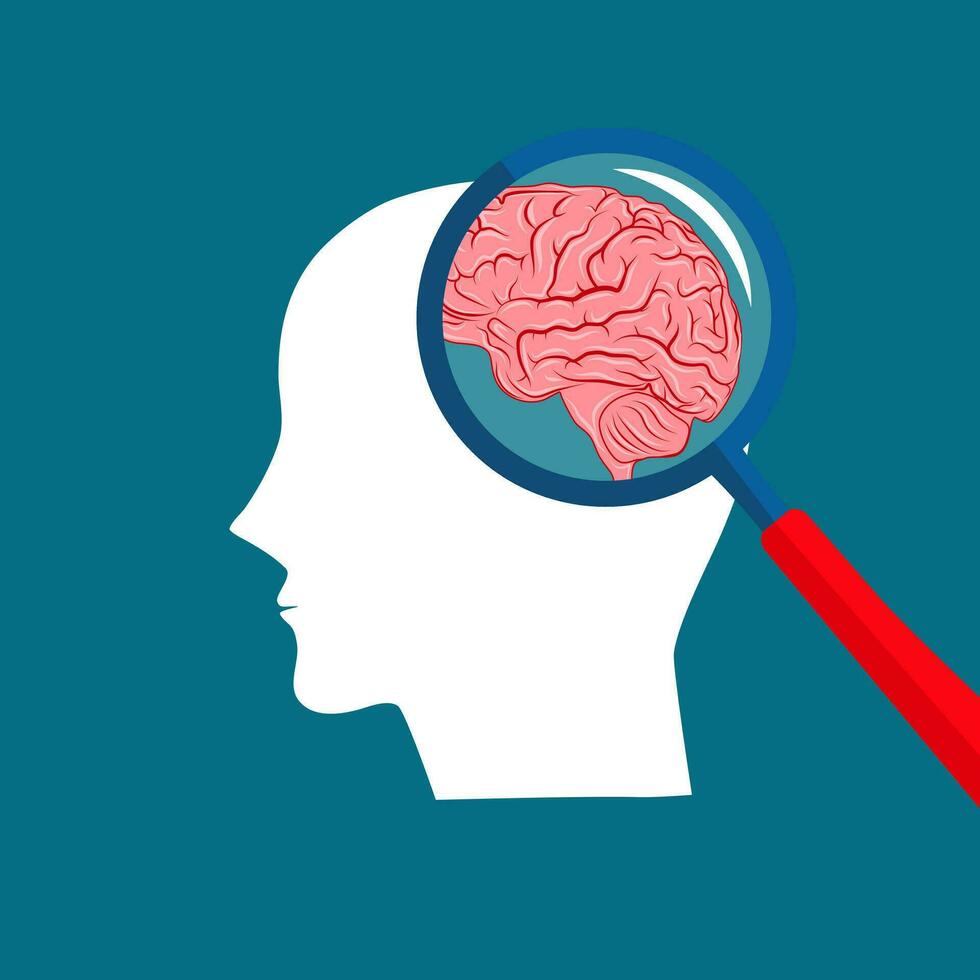 hersenen Onderzoek en onderwijs concept. vergroten glas zoomen binnen menselijk hoofd. vlak vector illustratie