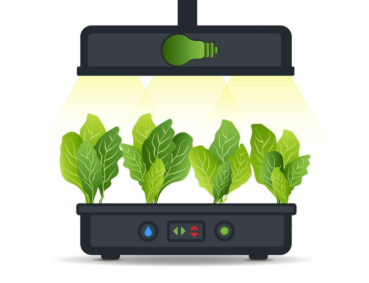 portable hydrocultuur aeroponic systeem voor milieuvriendelijk groeit van groen sla, groenten en kruiden. met automatisch gieter systeem en phyto verlichting. fytolamp vector