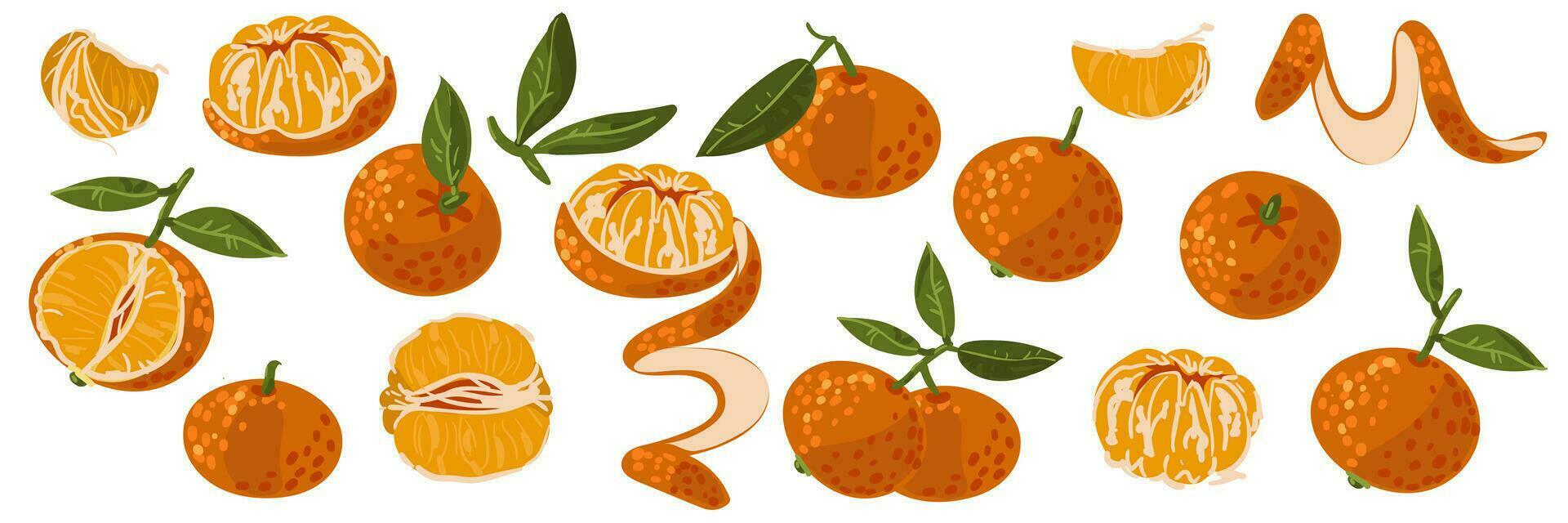 horizontaal reeks van mandarijnen in verschillend vormen. plak, geheel, Pel, voor de helft, Pel, Pel. geïsoleerd vector oranje illustraties Aan een wit achtergrond. elementen voor de sticker. winter Kerstmis fruit