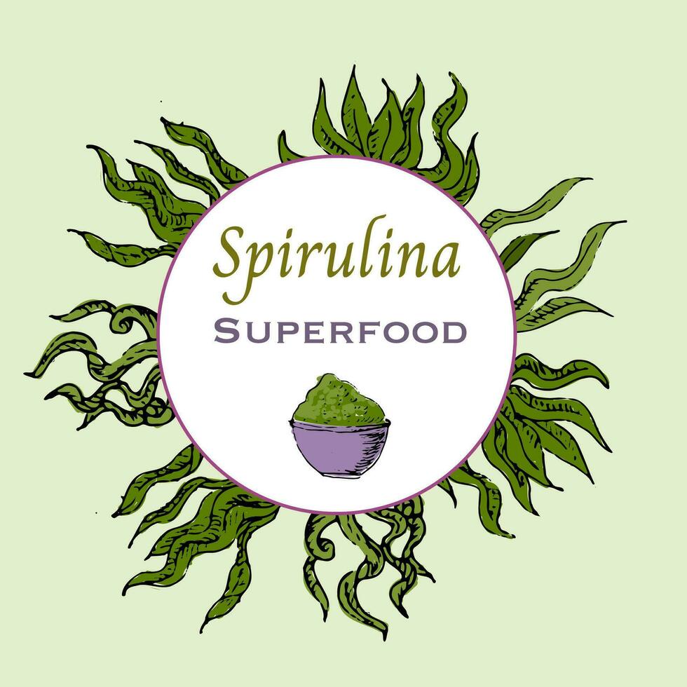 achtergrond van spirulina poeder in hand- getrokken schetsen stijl. vector illustratie veelkleurig. kan gebruikt voor superfood label, folder, kaart.