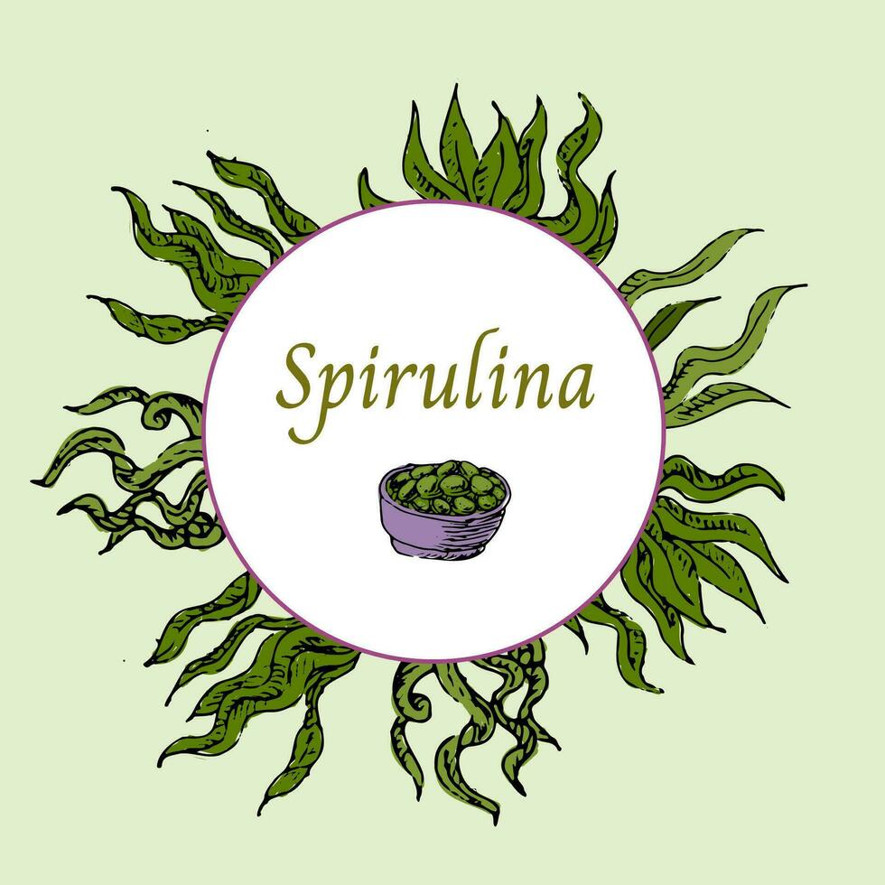 achtergrond van spirulina pillen in hand- getrokken schetsen stijl. vector illustratie veelkleurig. kan gebruikt voor superfood label, folder, kaart.