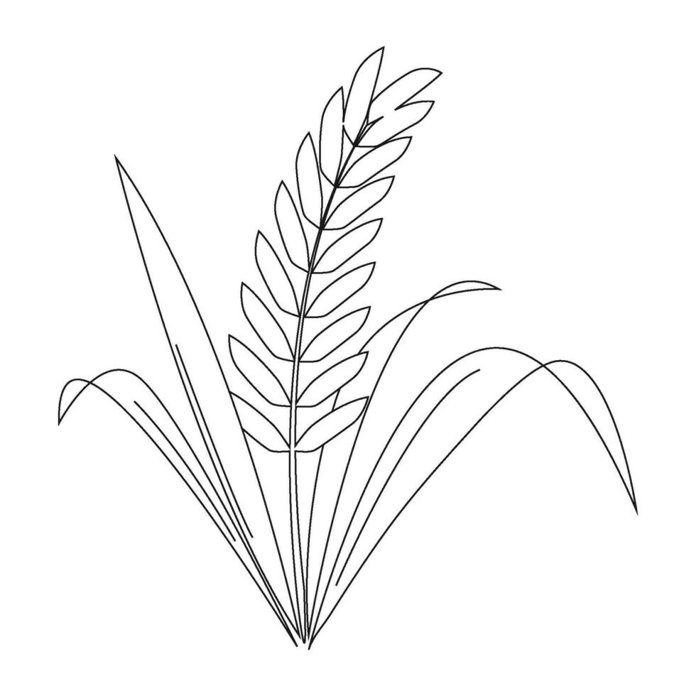 oor van rijstveld rijst- geïsoleerd Aan wit achtergrond. icoon vector