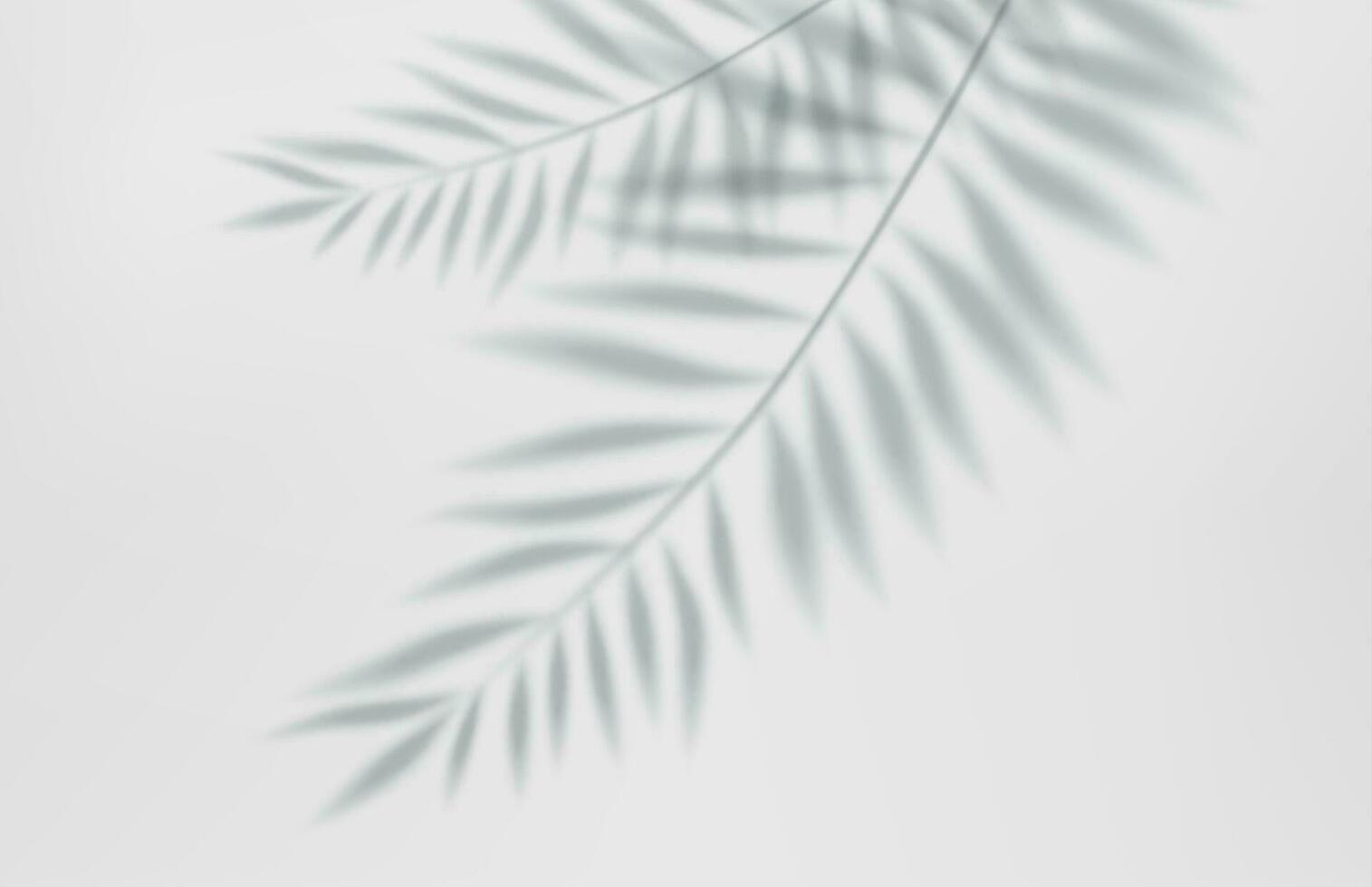3d leeg licht studio abstract achtergrond met spotlight effect en tropisch palm bladeren schaduw. concept voor uw grafisch ontwerp poster banier en achtergrond. 3d weergave. vector illustratie