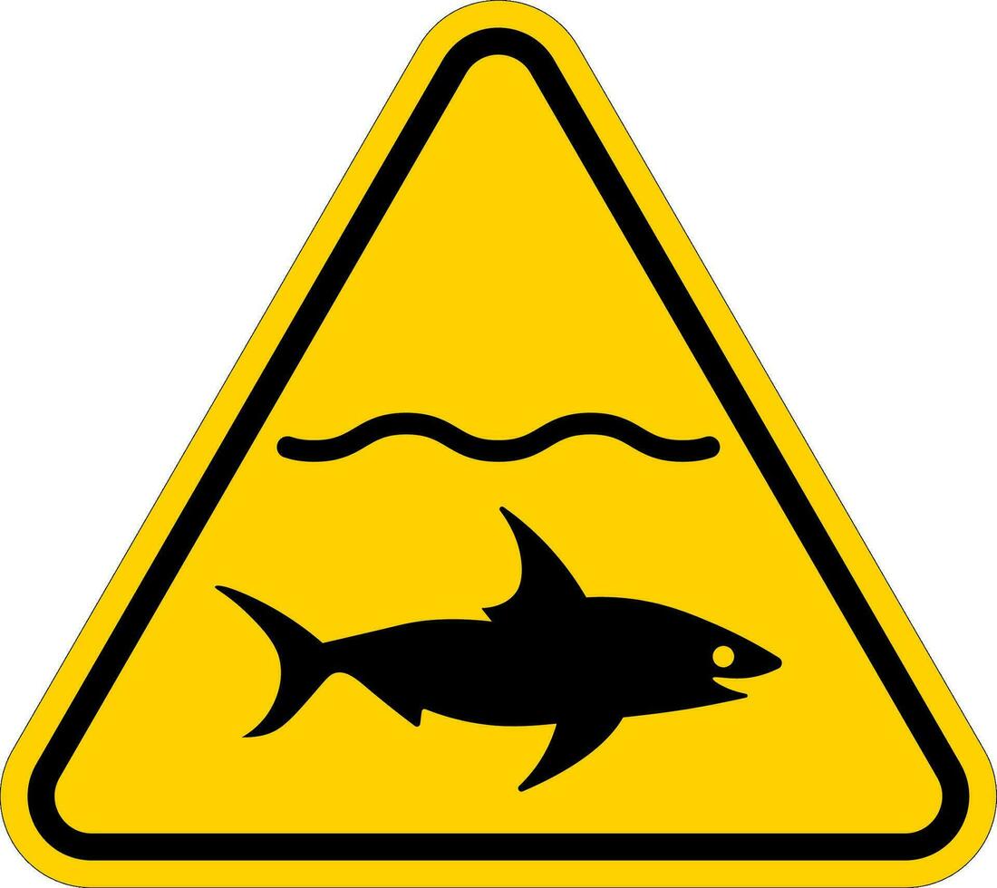 waarschuwing houden uit , haai gezien vector