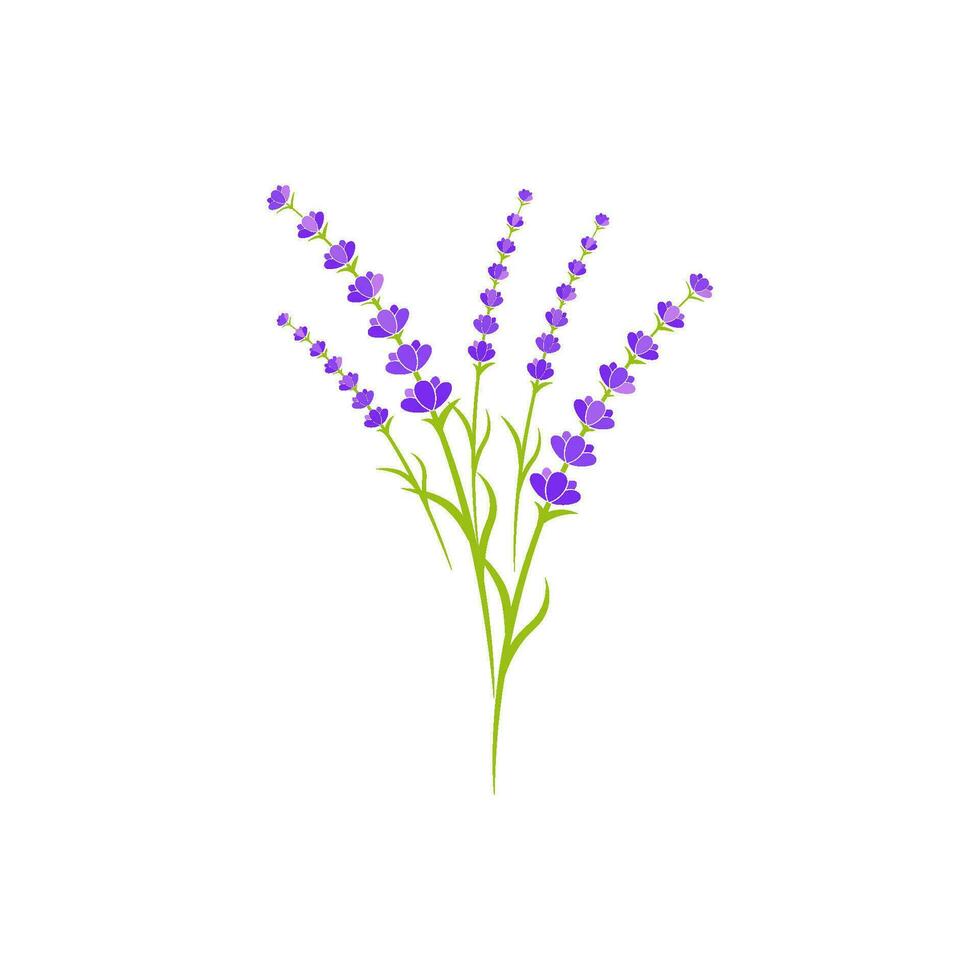 lavendel bloem vector icoon illustratie