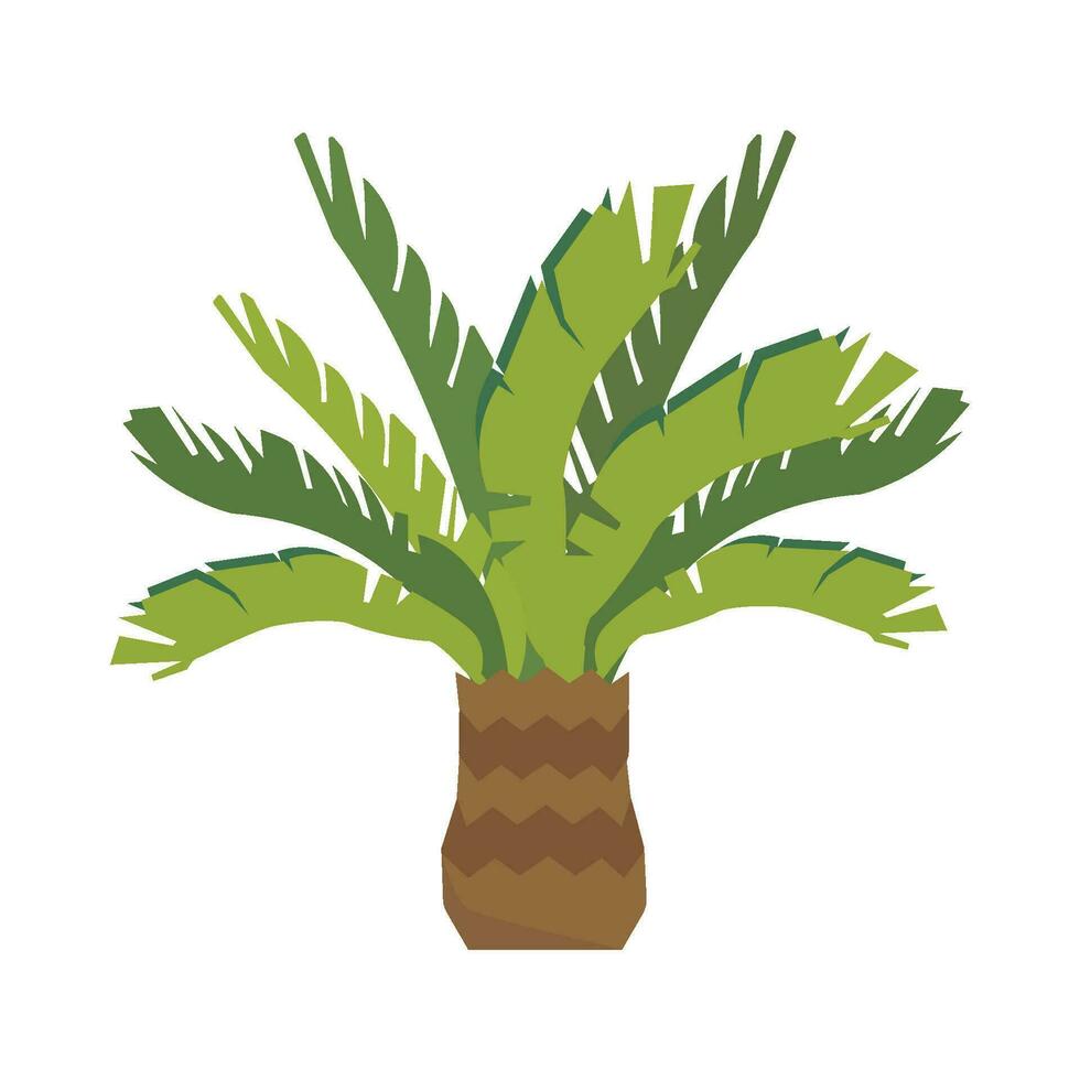 palmboom illustratie vector