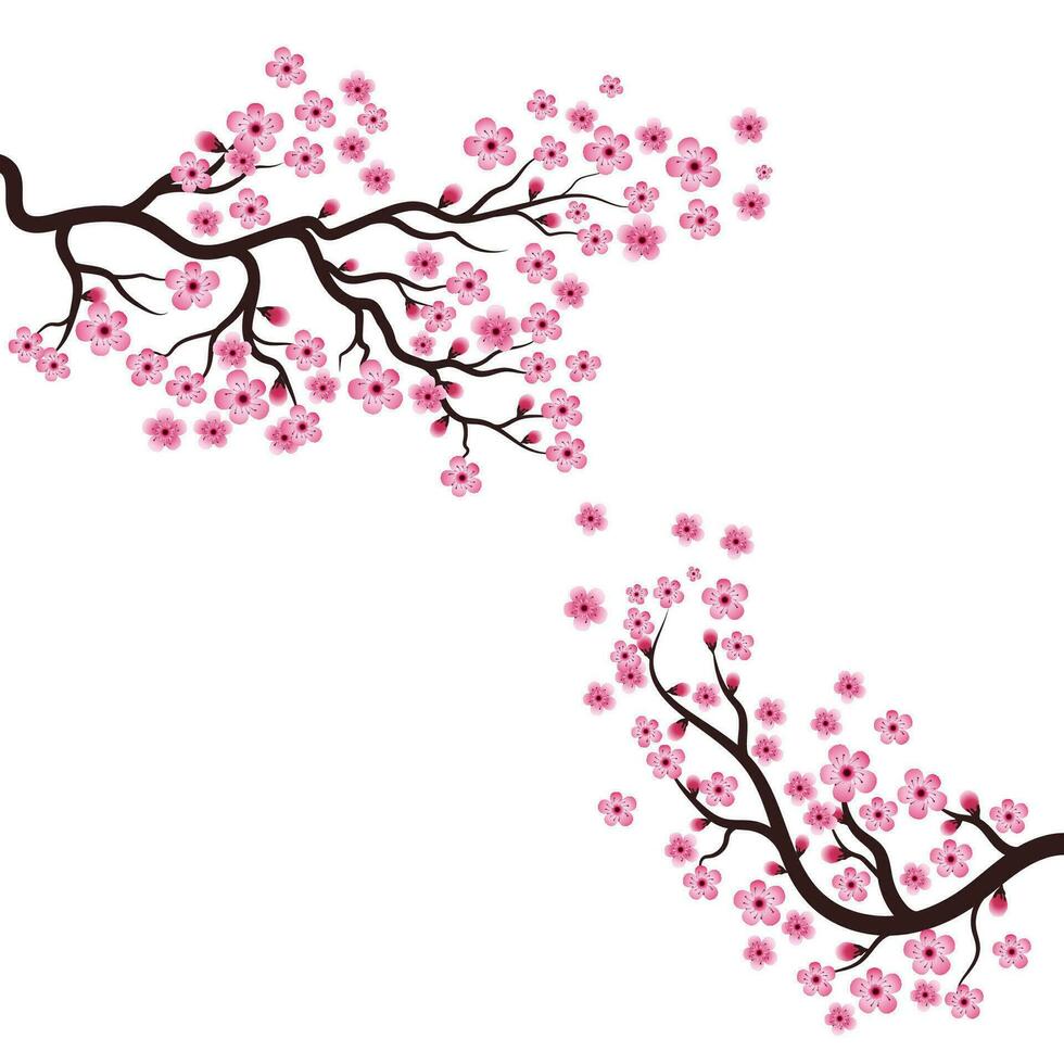 sakura schoonheid bloem vector icoon illustratie ontwerp