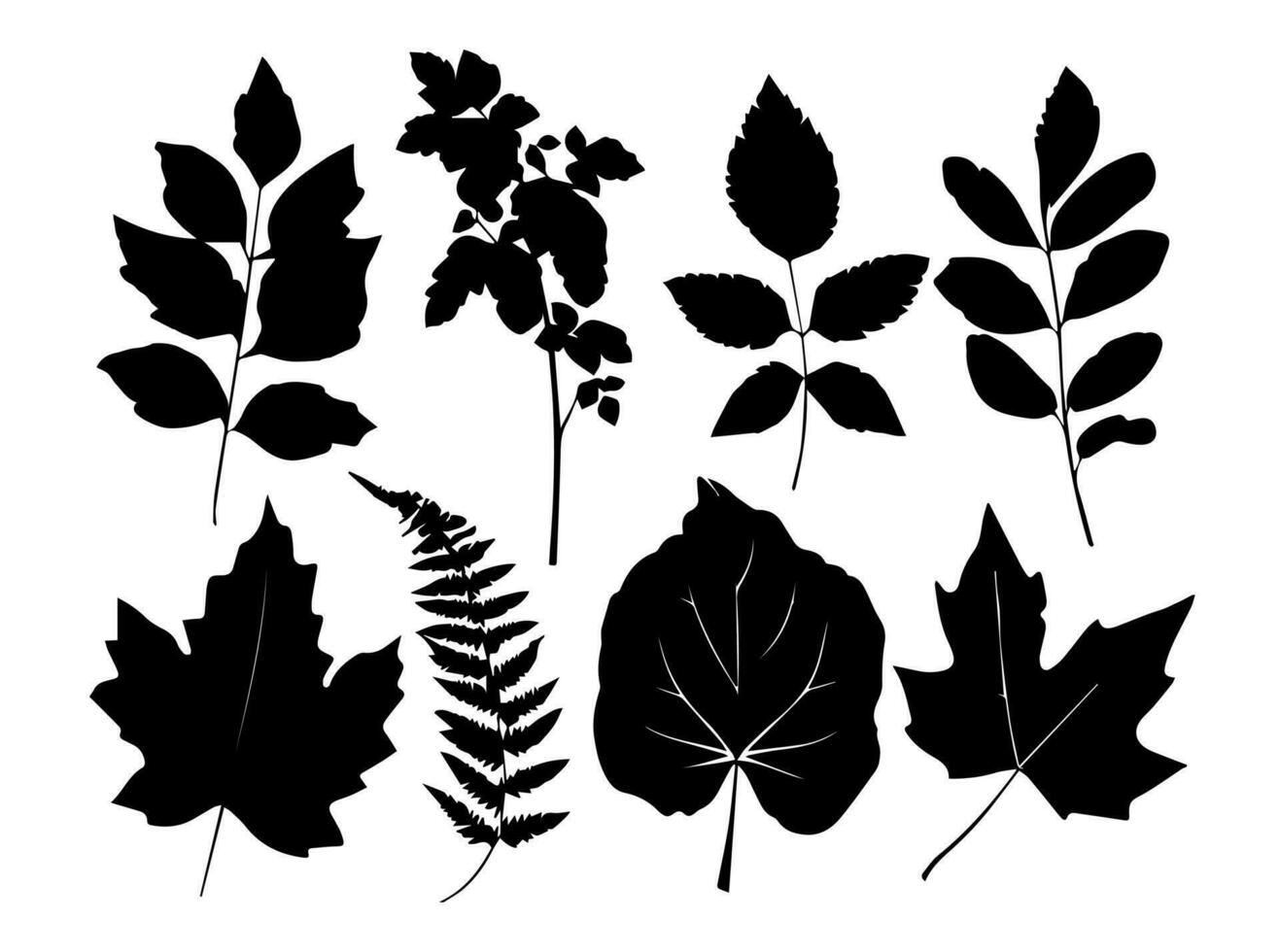 reeks van zwart silhouetten van bladeren en bloemen. vector illustratie.