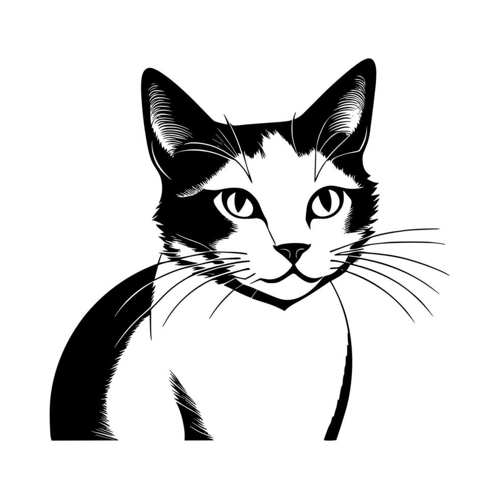 schattig kat vector, tekenfilm kat, of katje tekens ontwerp verzameling. vector