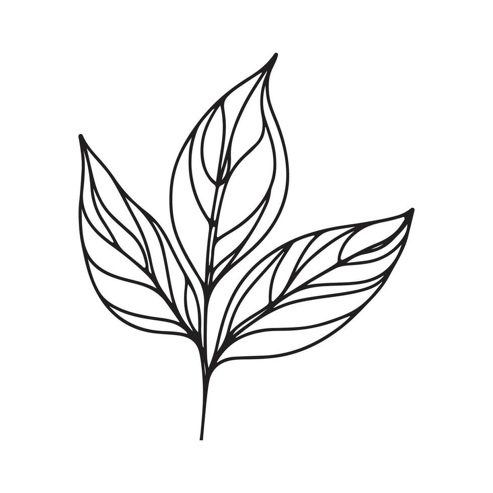 esthetisch decoratief lijn kunst illustratie van blad, bloemen vector
