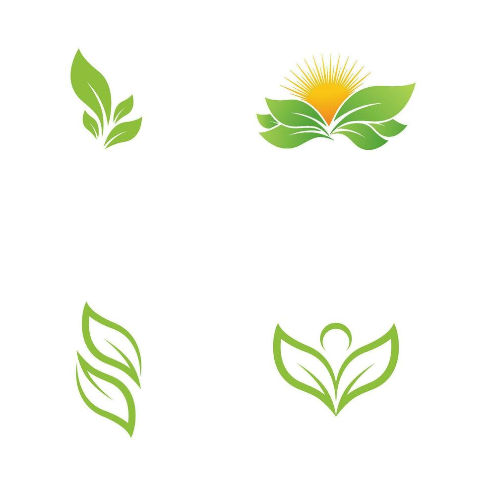 groene boom blad ecologie natuur element vector