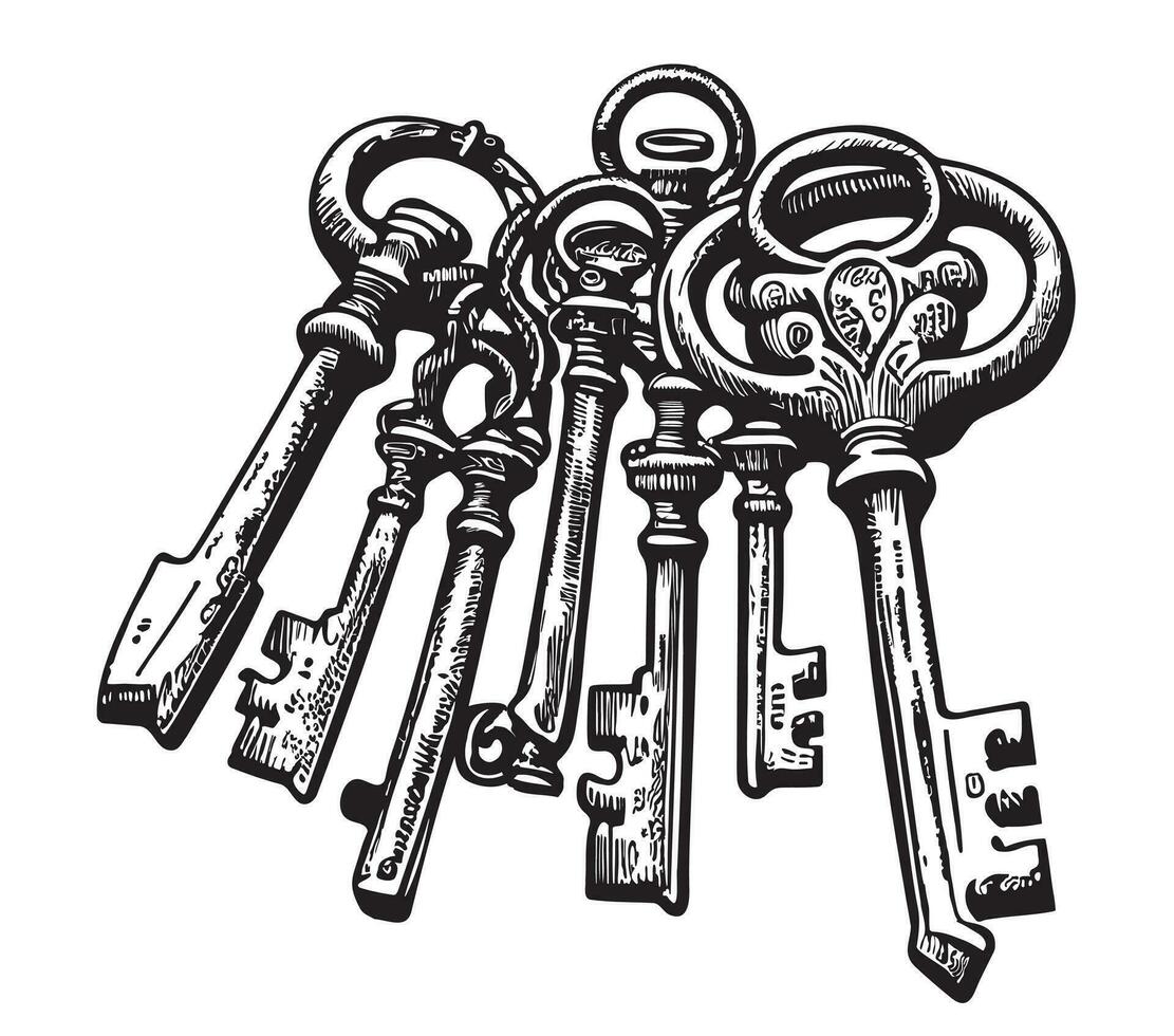 retro sleutels schetsen hand- getrokken heraldiek vector illustratie