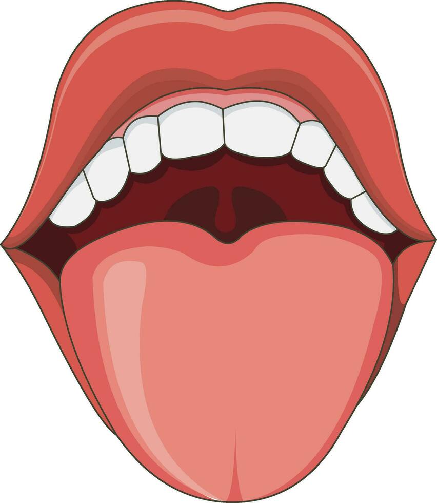 tong en tanden vector illustratie