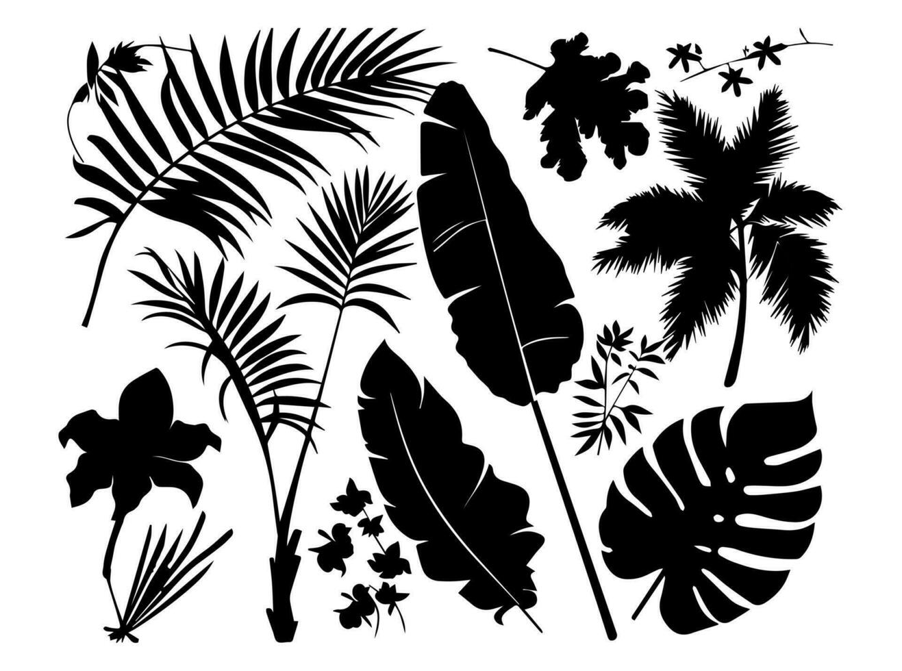 reeks van zwart silhouetten van bladeren en bloemen. vector illustratie.