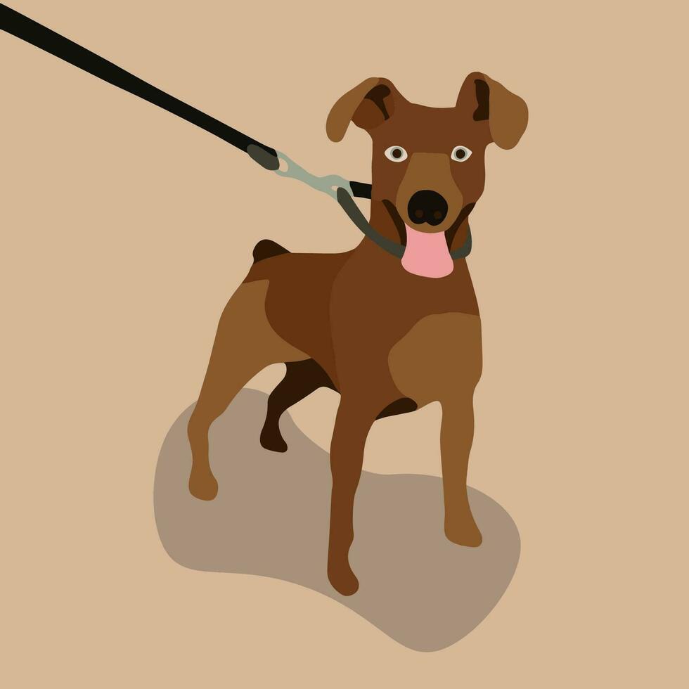 vector geïsoleerd illustratie van een miniatuur pinscher hond.