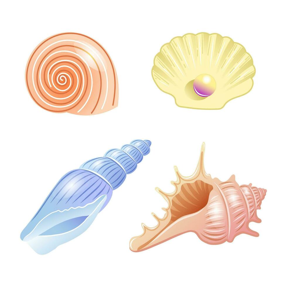 reeks van vector illustraties van zee schelpen van verschillend vormen en kleuren in tekenfilm stijl. vector illustratie