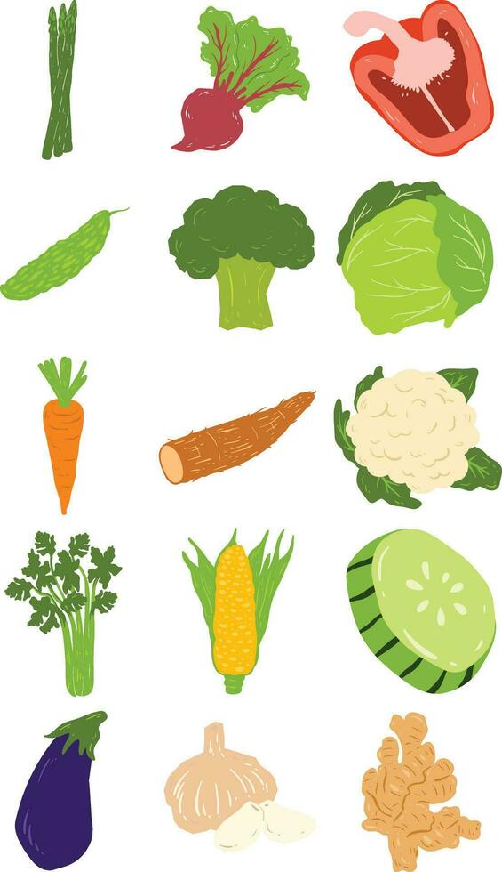 biologisch groente elementen reeks vector