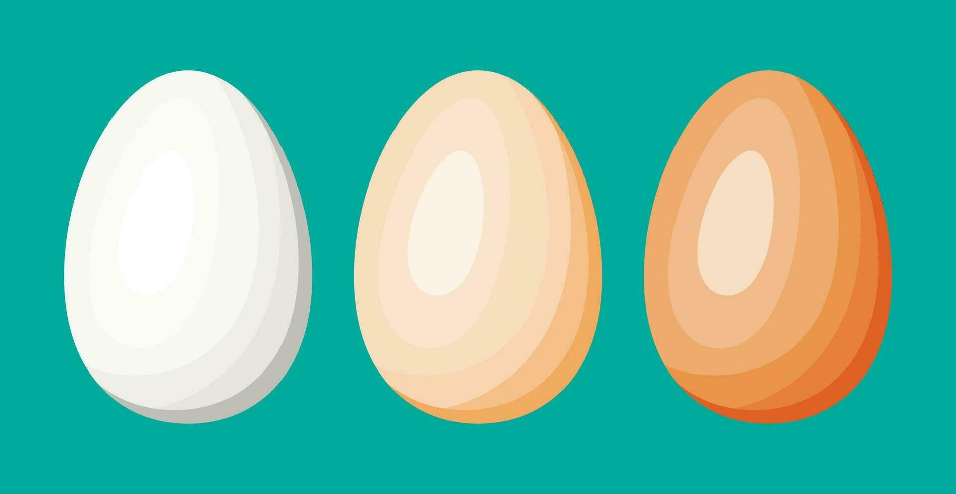 kip eieren geïsoleerd Aan groen achtergrond. tekenfilm wit en bruin ei icoon. zuivel voedsel en boodschap. Pasen mockup concept. vlak vector illustratie.
