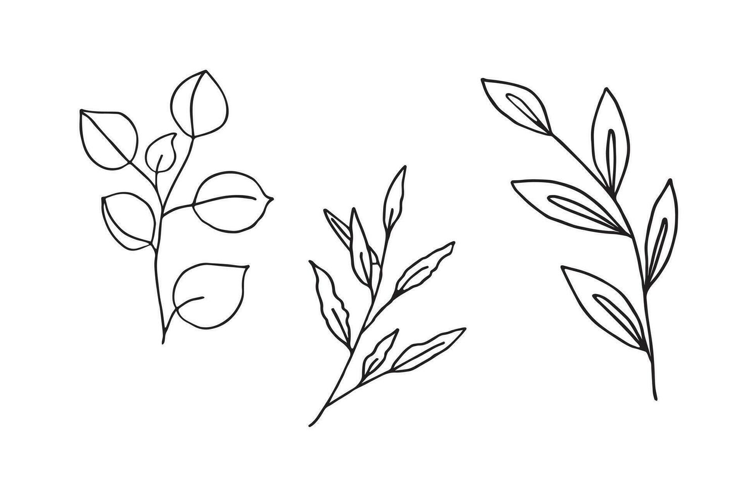 takken met bladeren in tekening stijl. twijgen getrokken door hand- Aan een wit achtergrond. vector