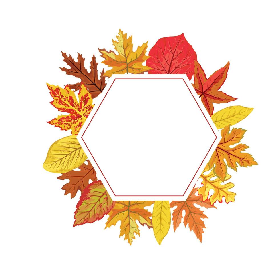 zeshoekig frame van herfstbladeren met witte ruimtevector vector