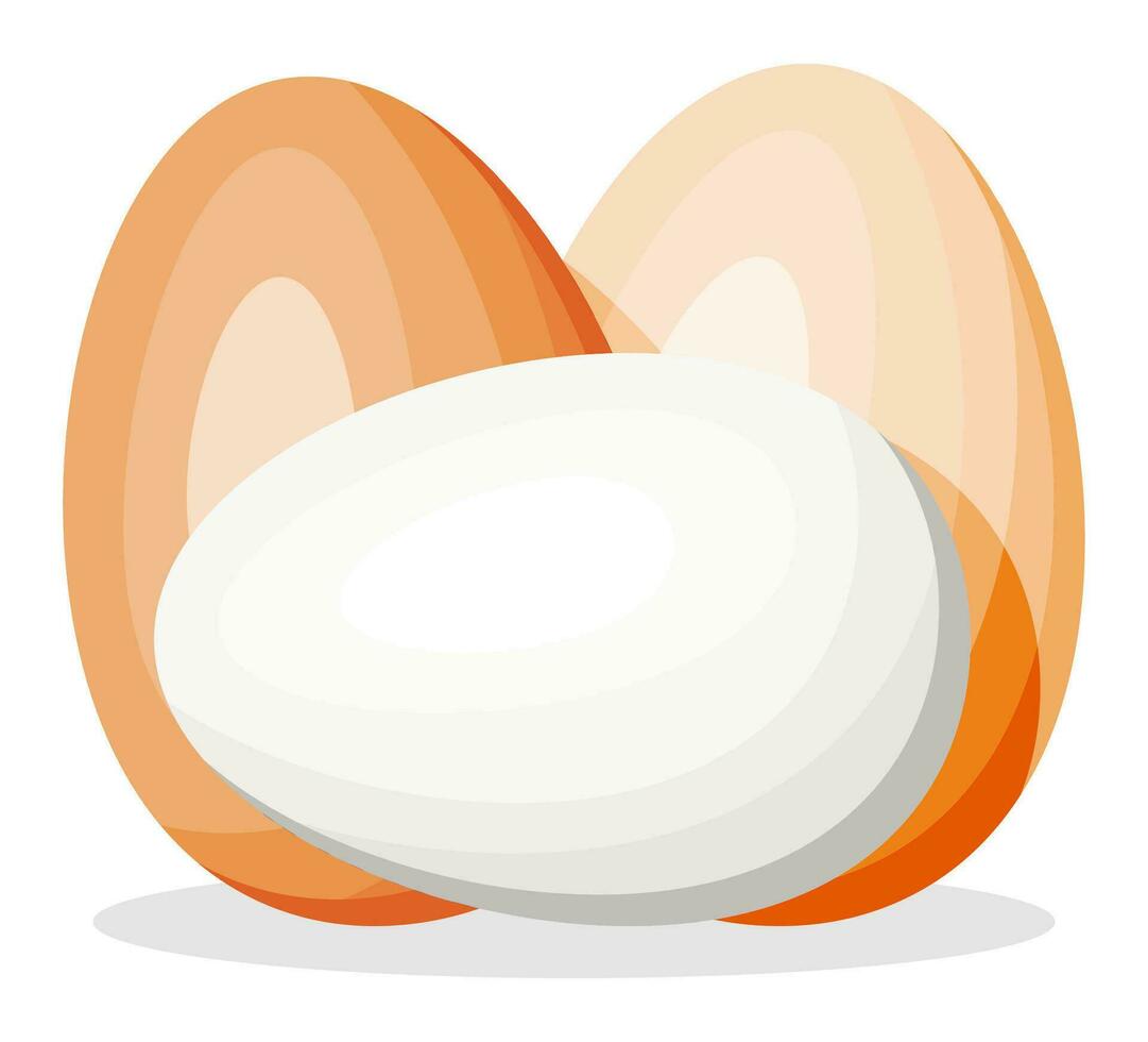 kip eieren geïsoleerd Aan wit achtergrond. tekenfilm wit en bruin ei icoon. zuivel voedsel en boodschap. Pasen mockup concept. vlak vector illustratie.