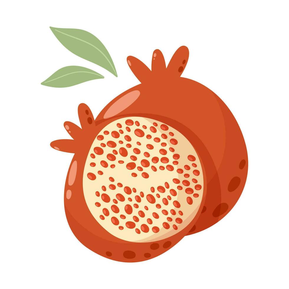 granaatappel met bladeren, vlak schattig vector illustratie Aan geïsoleerd achtergrond. seizoen fruit, gezond vitamine voedsel concept