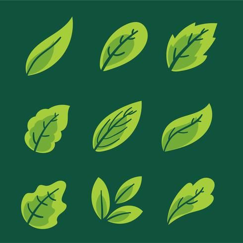 Groene bladeren collectie Vector Set