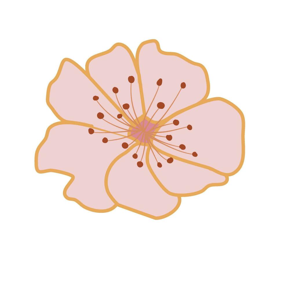 roze sakura kers bloesem vector illustratie