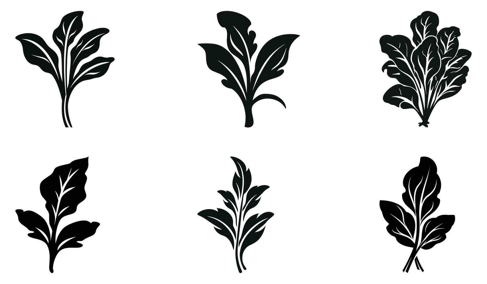 levendig spinazie blad vector illustraties