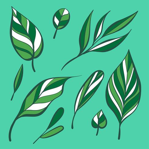 Hand Tekening Handleiding Groene Bladeren Clipart Set Vector