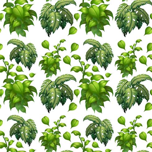 Groen blad naadloos patroon vector