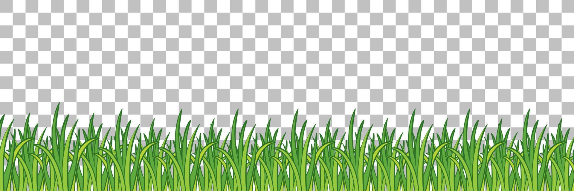 gras en planten op rasterachtergrond voor decor vector