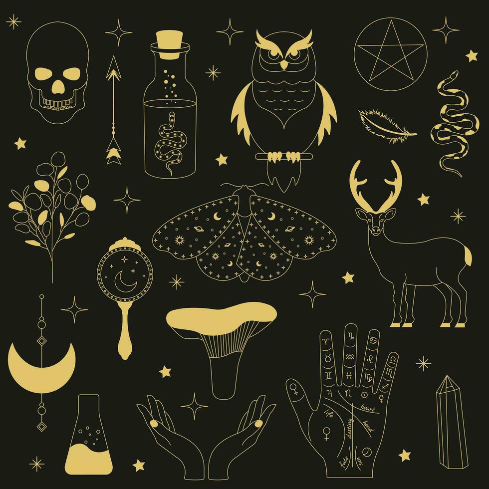 witchy magie set. reeks van hekserij artikelen. verzameling van witchy magie en esoterisch apparatuur. vector illustratie van mythisch elementen.