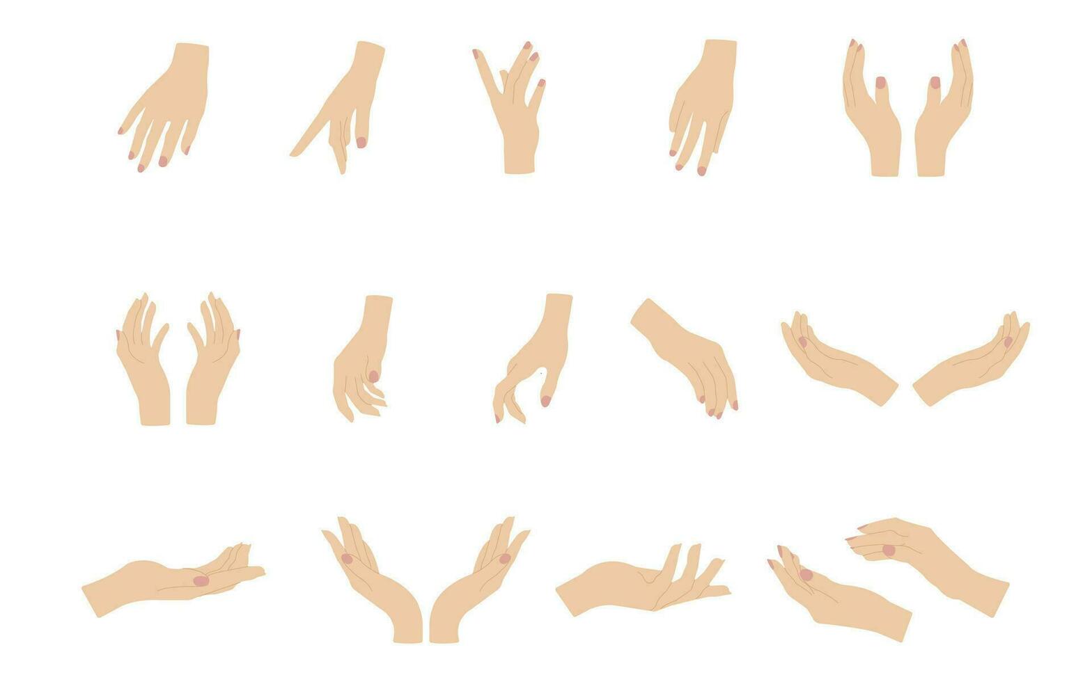 handen poseert. reeks van verschillend vrouw handen poseert. vector